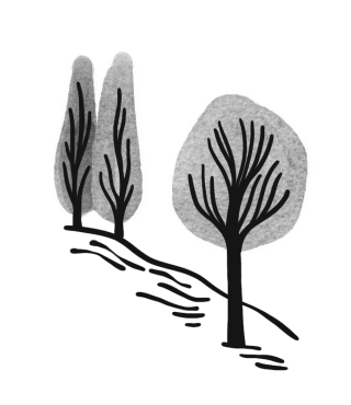 Illustration sapins